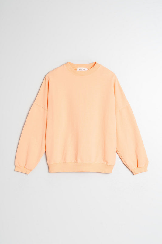 PULL BASIQUE EN COTON 1